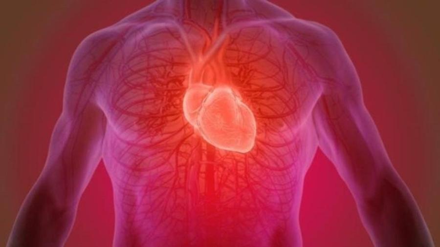 Ilustração mostra coração em funcionamento no corpo humano - Getty Images