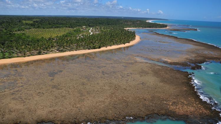 Praia dos Coqueiros - Trancoso (BA) - Divulgação