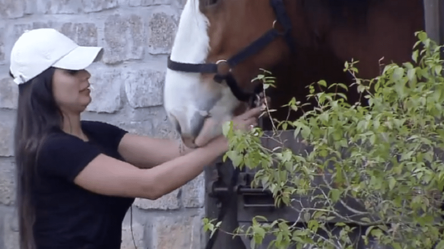 A Fazenda 2020: Victória Villarim conversa com o cavalo Lyon - Reprodução/RecordTV