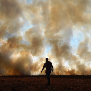 Brasil tem maior queda em emissões de gases de efeito estufa em 16 anos