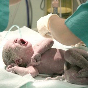 Estudo também não encontrou possíveis efeitos colaterais de ingerir placenta - Getty Images