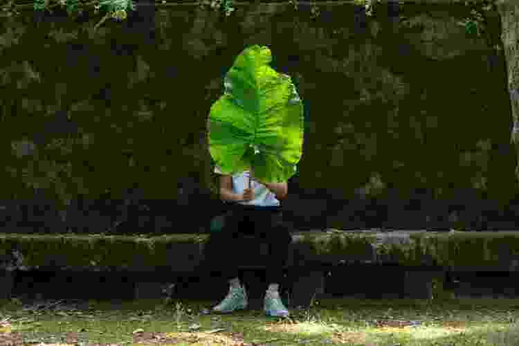 Roubar mudas é um crime de menor potencial ofensivo - Getty Images - Getty Images