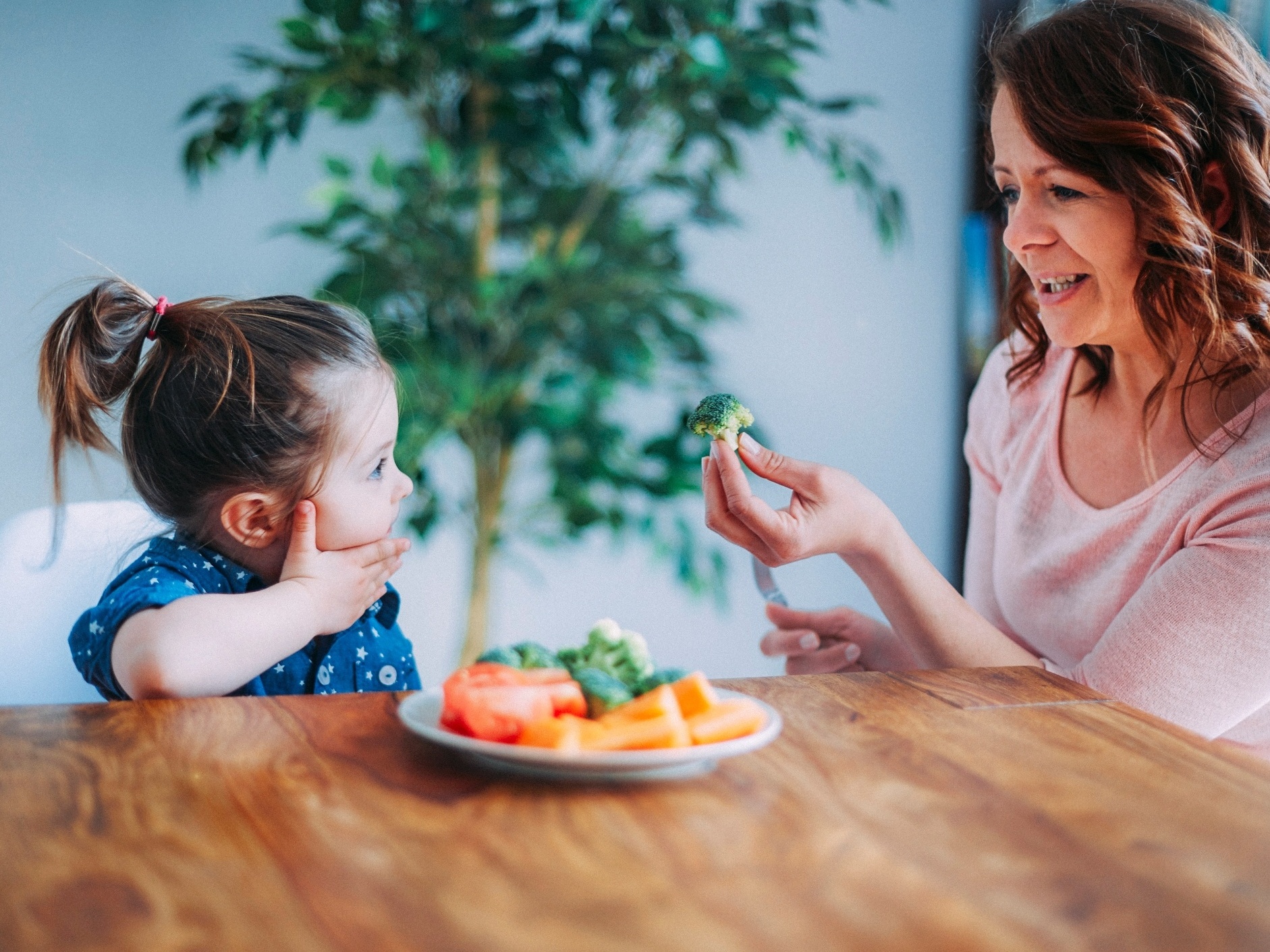 É seguro criar o meu filho vegano ou vegetariano?, Alimentação