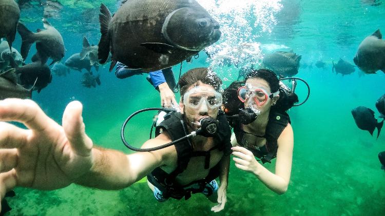 Mergulho no lago do Hot Park  - Divulgação - Divulgação
