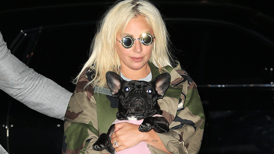 Lady Gaga em Nova York com um de seus buldogues - Star Max/Getty Images