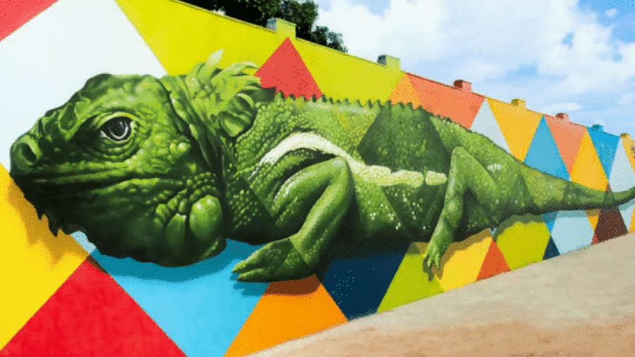 O mural pintado por Kobra, que custou R$ 400 mil, em sua condição original - Divulgação/Prefeitura de Boa Vista