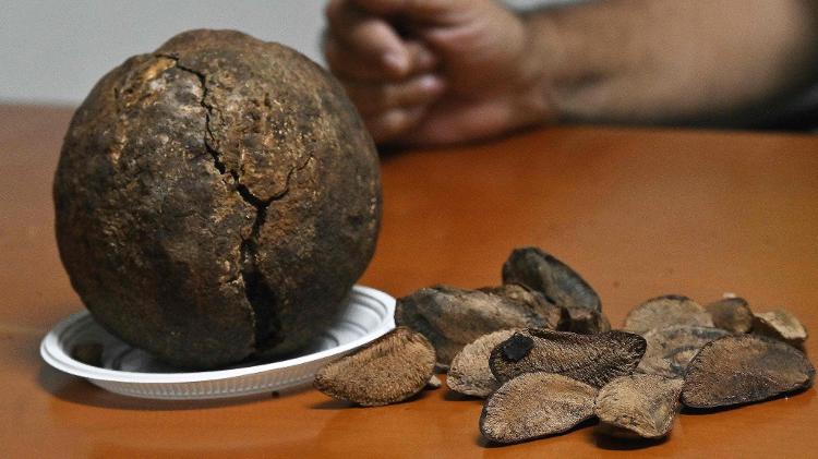Trabalhador mostra um coco de castanha-do-pará e as castanhas dentro dele em Cobija, na Bolívia