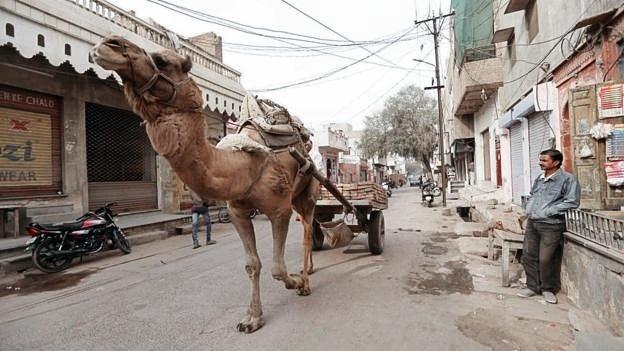 Em algumas regiões da Índia, é comum crianças não terem certidão de nascimento - Peter Leng/Neha Sharma/BBC