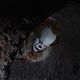 Bill Skarsgard em "It: A Coisa" - Divulgação