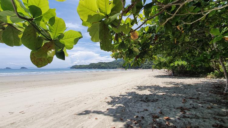 Praia da Fazenda - Ubatuba (SP) - Marcel Vincenti