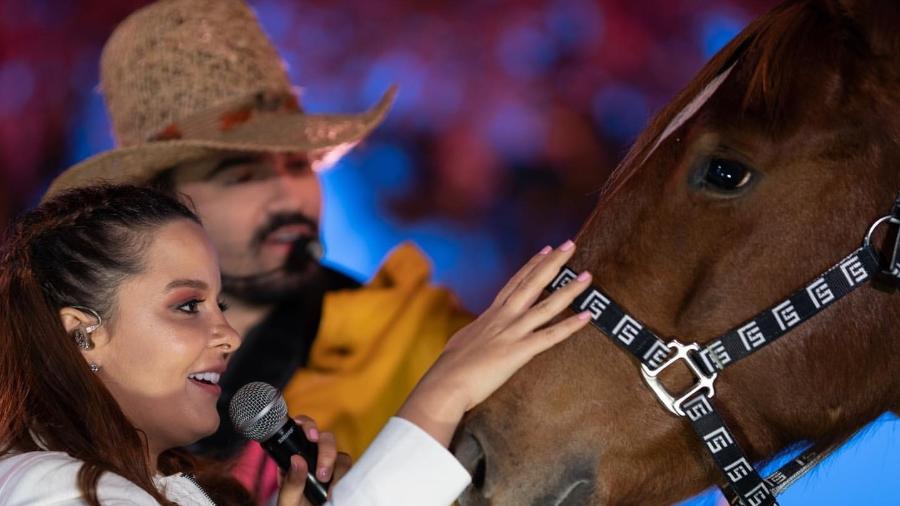 Maiara ganha um cavalo quarto de milha de Fernando Zor - Reprodução/Instagram