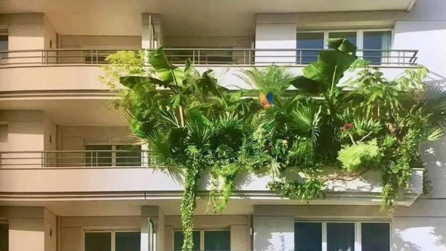 Apartamento viraliza no Twitter com sacada cheia de plantas - Reprodução/Twitter