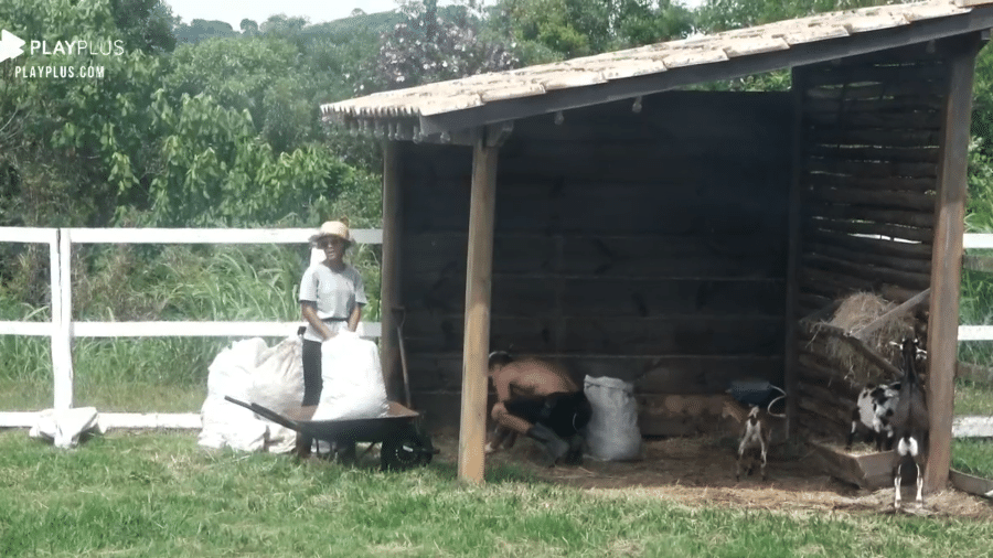 A Fazenda 2020: Lidi Lisboa e Lipe Ribeiro brincam durante trato das mini cabras - Reprodução/RecordTV