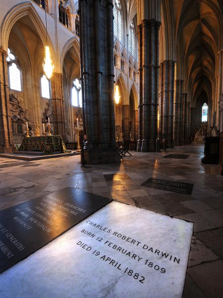 LONDON - NOVEMBER 29: The floor tomb of naturalist Charles Darwin in the nave of Westminster Abbey on November 29, 2012 in London, England.  Dead Famous London is a journey through the capital's cemeteries, churches, cathedrals, crypts and crematoria discovering its historic famous graves. (Photo by Jim Dyson/Getty Images) - Jim Dyson/Getty Images - Jim Dyson/Getty Images