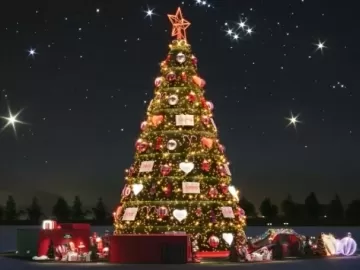 Fim de semana em SP tem árvore de Natal gigante, zoo à noite e mais