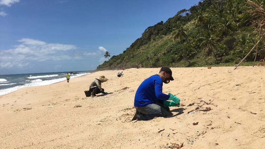 Voluntários atuam na limpeza do óleo na praia do Pompilho, na Bahia - Carline Piva
