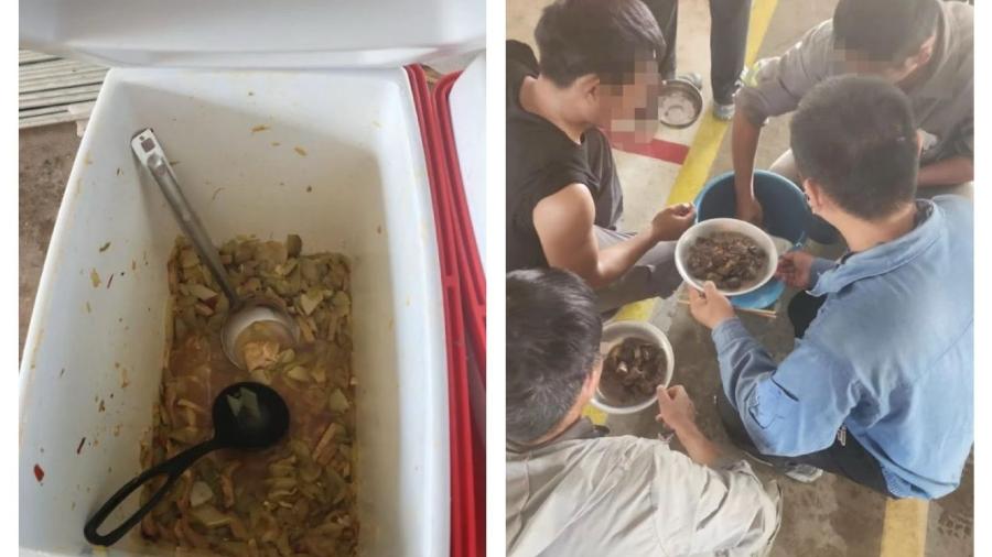 Fotos revelam suposta alimentação dos trabalhadores em Camaçari