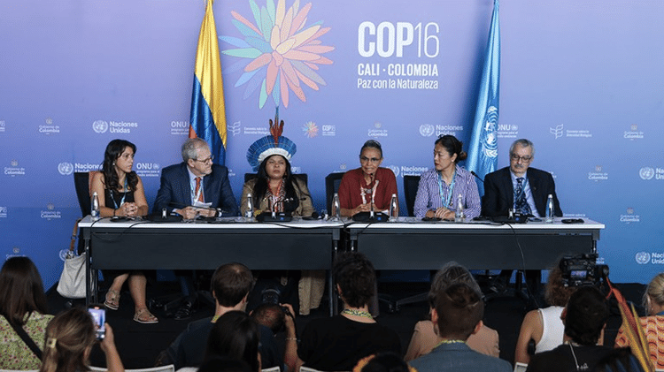 A Ministra do Meio Ambiente Marina Silva lançou o chamado Novo Planaveg em outubro de 2024 durante a COP16, na Colômbia A Ministra do Meio Ambiente Marina Silva lançou o chamado Novo Planaveg em outubro de 2024 durante a COP16, na Colômbia