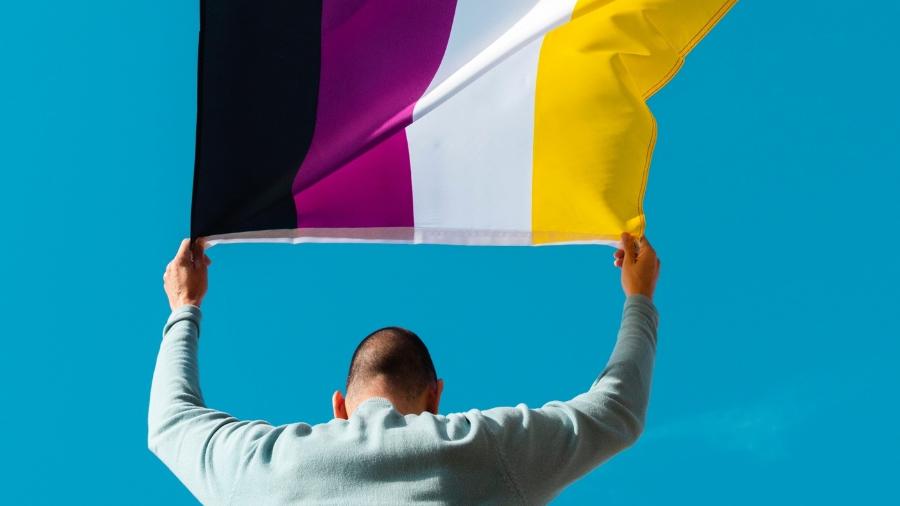 Bandeira do orgulho não-binário; decisão diz que portaria configura censura e linguagem neutra garante inclusão, dignidade, identidade e expressão de gênero - iStock