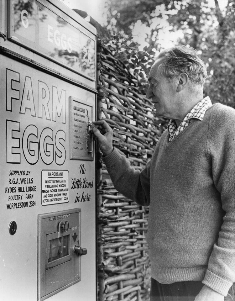 Não é de hoje: foto de 1963 mostra uma "vending machine" que vende ovos caipiras