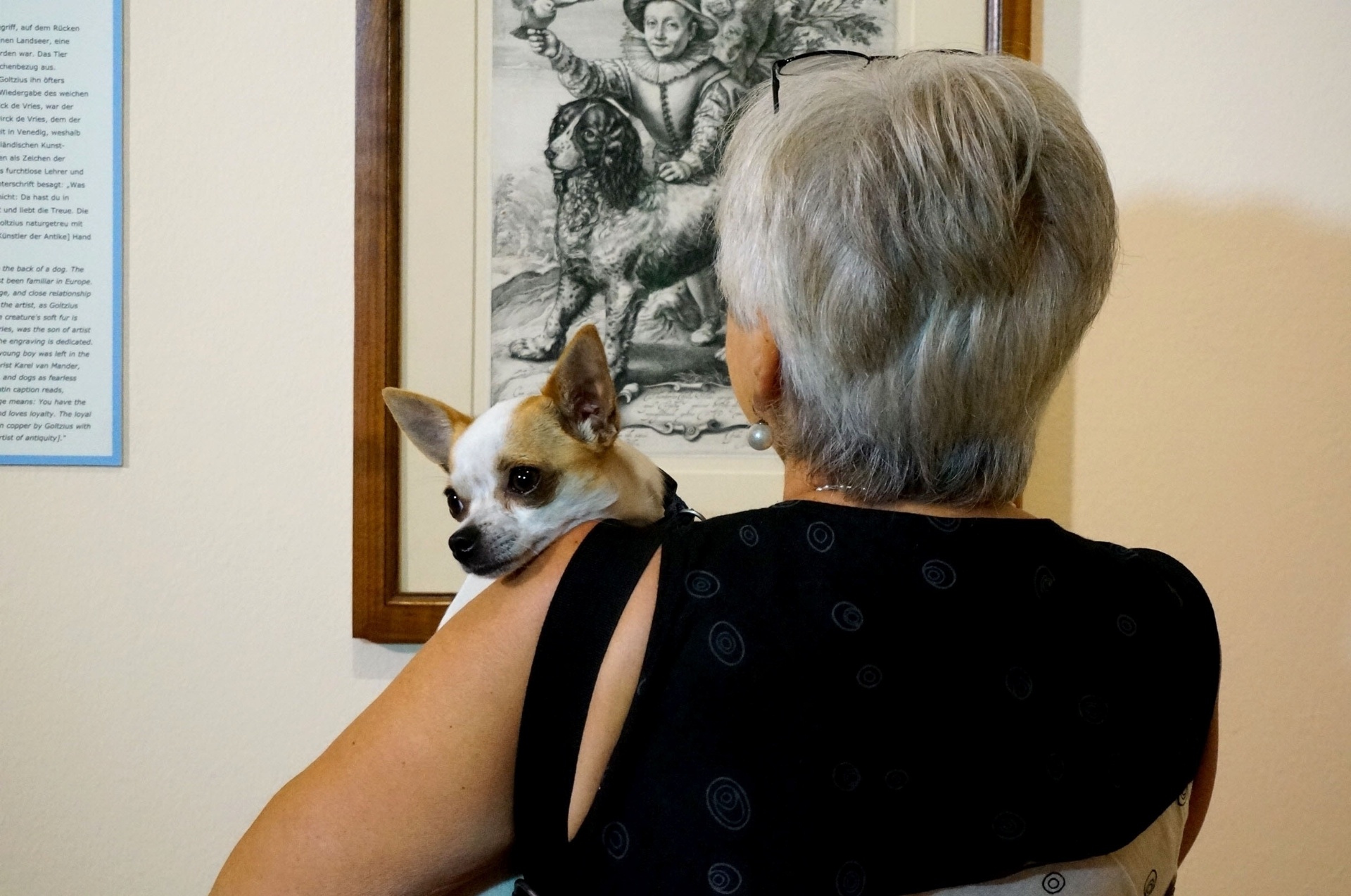 A exposição "Wir kommen auf den Hund", em cartaz até o dia 20 de setembro, reúne mais de 100 desenhos e gravuras em torno do tema canino. Há até quadros expostos na altura dos olhos dos animais - Clarissa Neher/BBC