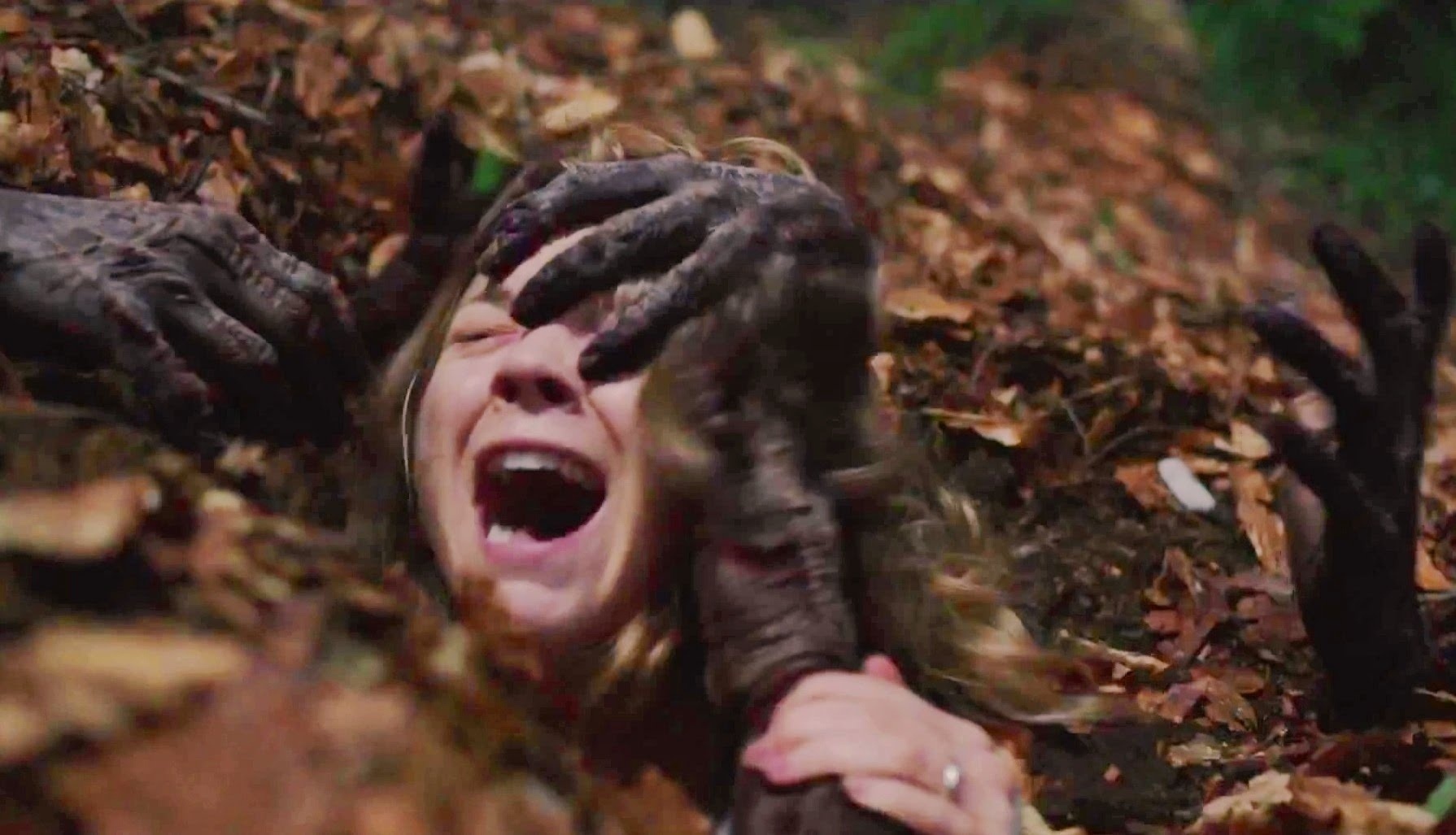 Cena do filme "Floresta Maldita" com previsão de estreia para 11 de fevereiro de 2016 - Divulgação