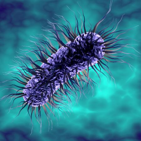 A Escherichia coli também é responsável por centenas de milhares de mortes em locais sem saneamento básico, particularmente de crianças - iStock