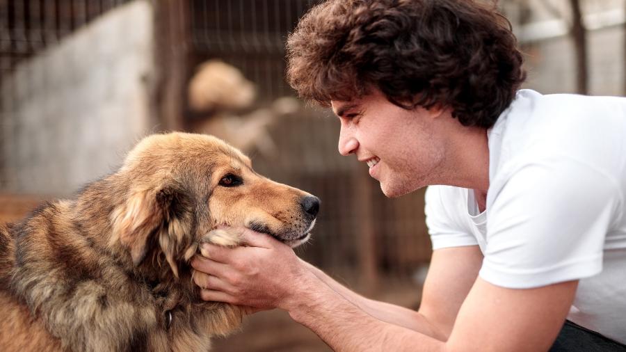 Adaptação de um pet resgatado pode levar tempo e exige cuidados especiais - Getty Images/iStockphoto