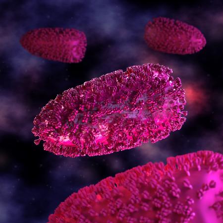 Cavalo de Troia do bem”: composto leva anticorpos para dentro de célula  infectada por vírus da raiva – Jornal da USP