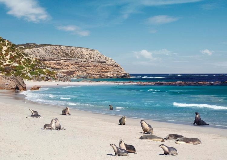 Kangaroo Island, na Austrália