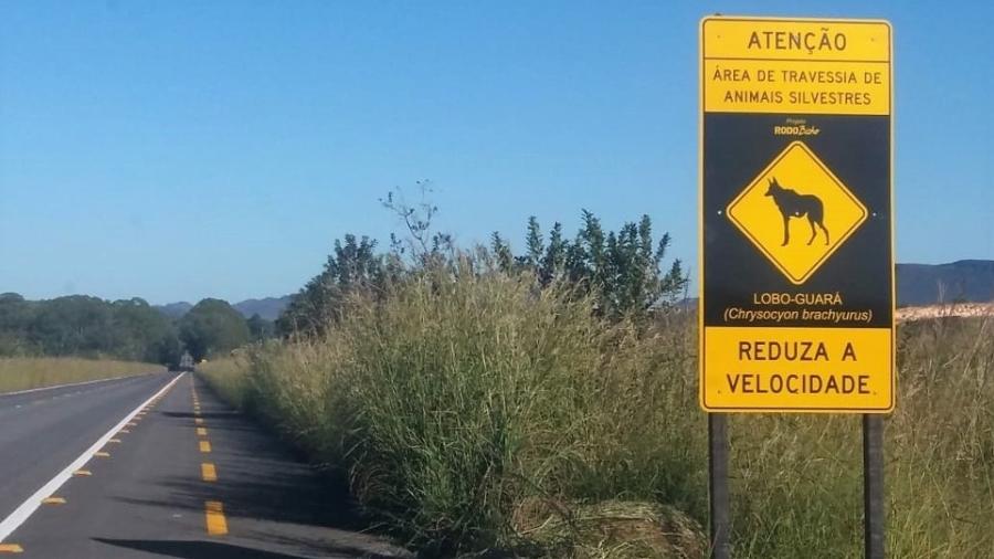 Alerta quanto à presença de animais selvagens são implantados em rodovias na região de Veadeiros.  - Associação dos Amigos das Florestas