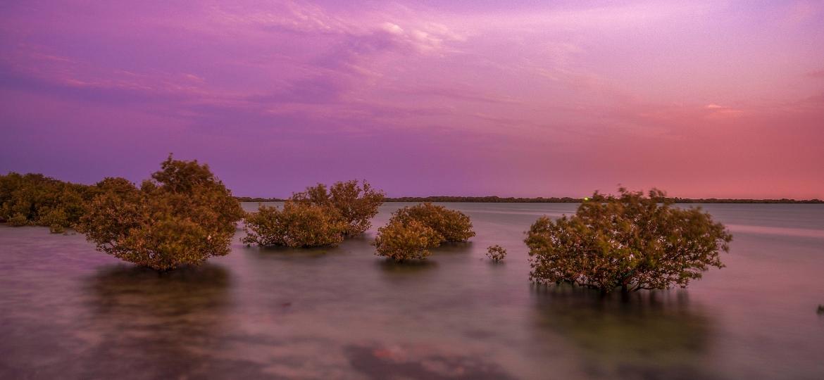 Pôr do Sol na Ilha Púrpura, descrita como "tesouro nacional" do Qatar - Getty Images/iStockphoto