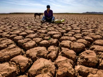 2024 é o ano mais quente já registrado e primeiro a superar limite de 1,5ºC