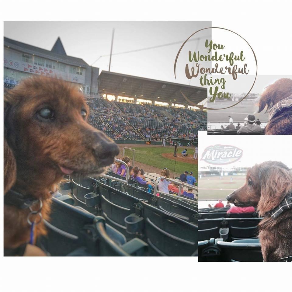 Reprodução/Facebook