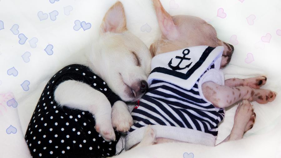Dormir de conchinha não precisa ser só fofinho... - iStock