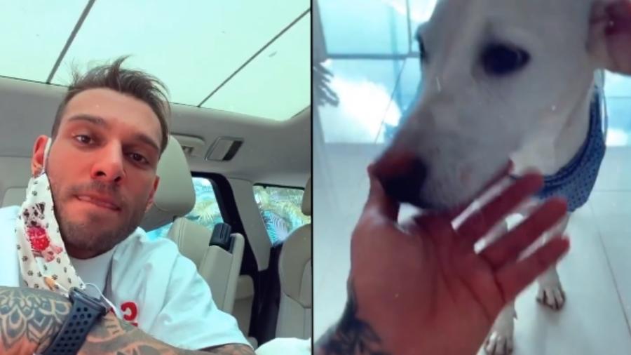 Lucas Lucco e o cachorro que batizou de "Uaiti" - Reprodução/Instagram