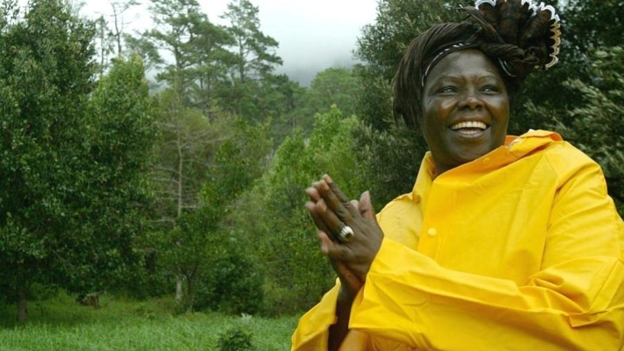 Wangari Maathai, vencedora do Nobel da Paz de 2004  - EFE/Nic Bothma