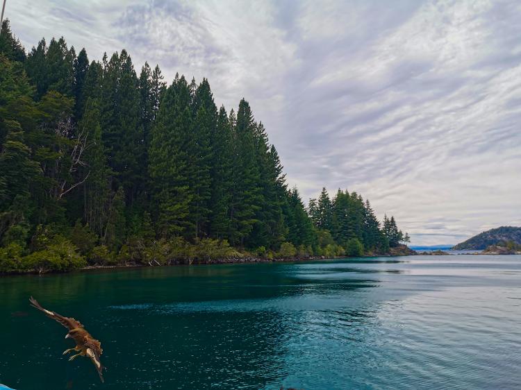 Lago Nahuel Huapi, em Bariloche - Florian Delée/Unsplash - Florian Delée/Unsplash