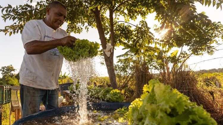 O agricultor Francisco Washington Junior lavando as hortaliças produzidas em suas terras restauradas