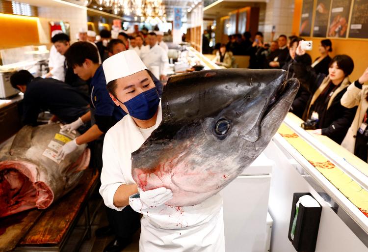 Cabeça do bluefin leiloado no Toyosu Market, em Tóquio, no último dia 5 de janeiro de 2025