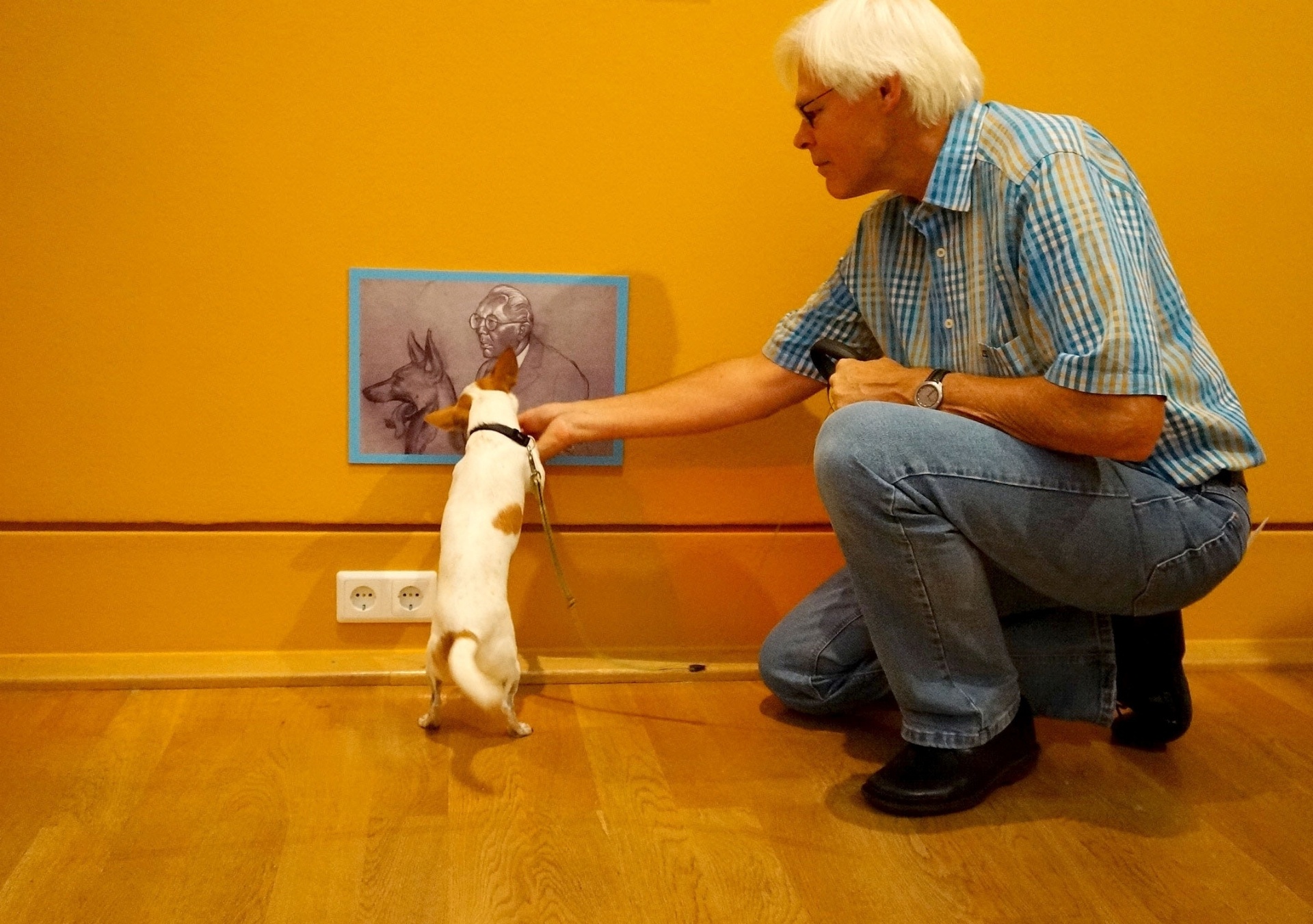 Cachorros se comportaram durante visita ao museu, mas interesse na arte teve que ser "comprado" - Clarissa Neher/BBC