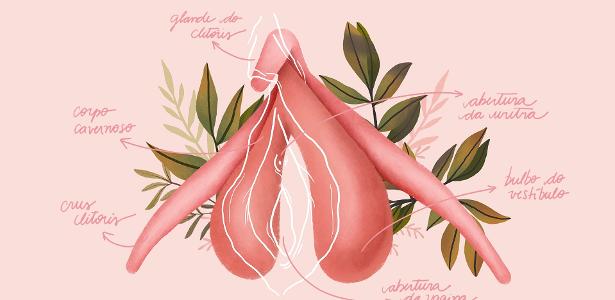 Clitóris 11 coisas que todo mundo