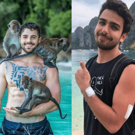 Alok com os macacos na Tailândia e Lugui, com curativos, após ser arranhado e mordido pelos bichos - Reprodução/Instagram