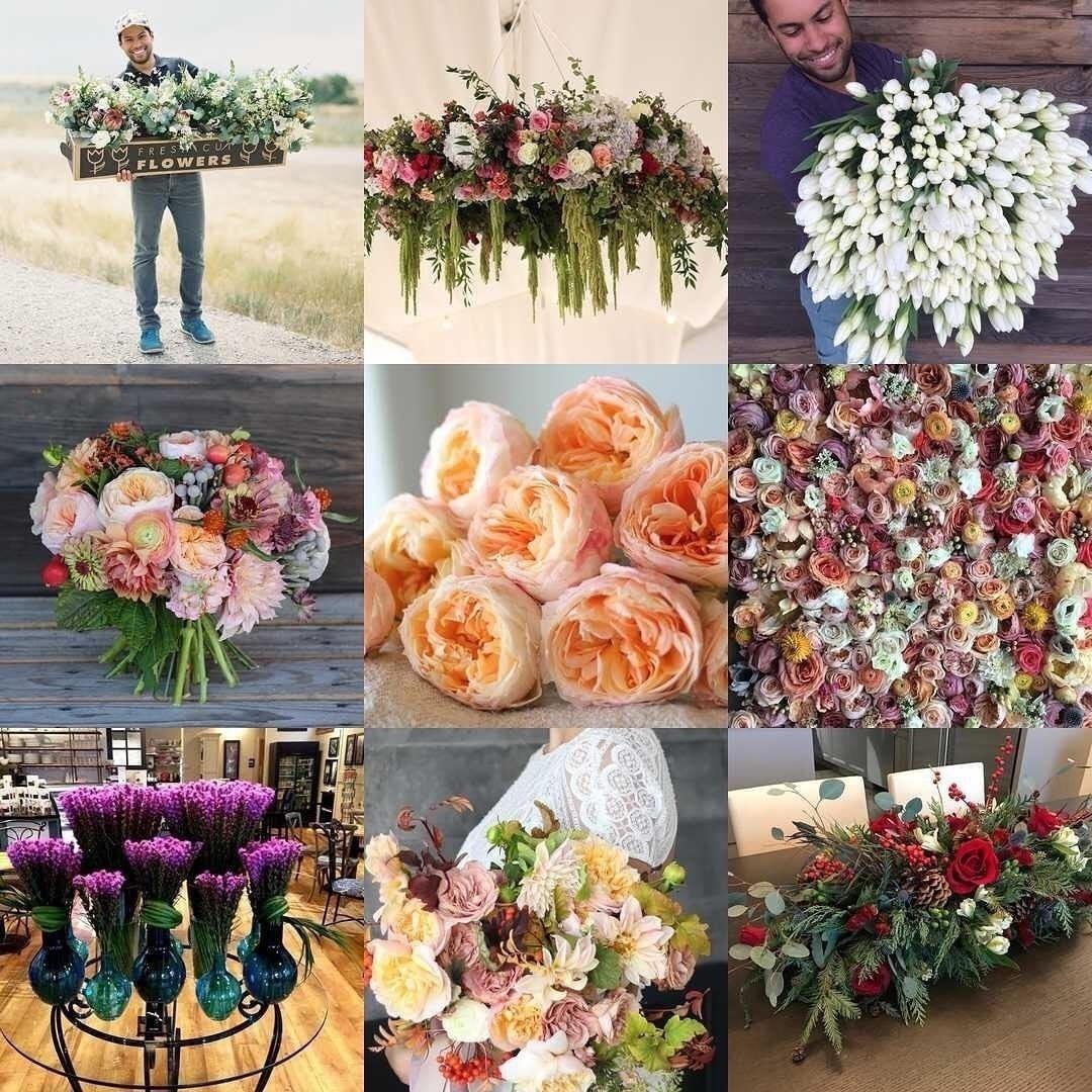 Autodidata, Julio aprendeu sozinho a cuidar de plantas. "Foi um processo de erros e acertos" - Reprodução/InstagramTheFlowerHat