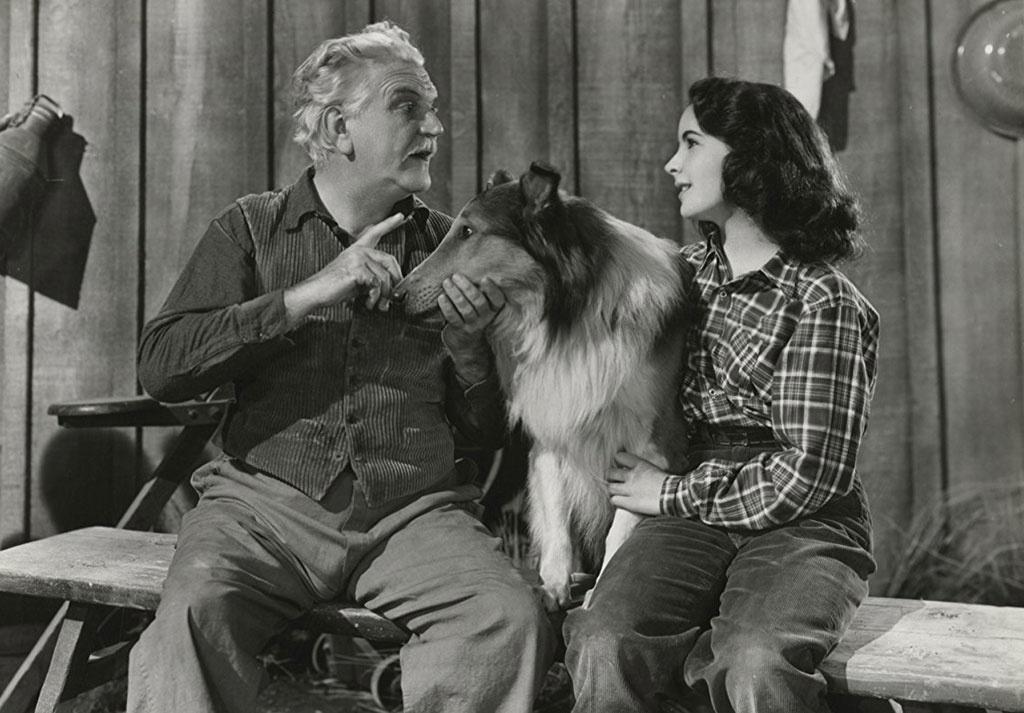 Elizabeth Taylor, Frank Morgan e o cão Pal em cena em "A coragem de Lassie" (1946) - Divulgação