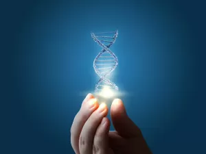 Gravidez: saiba quais exames podem detectar síndromes genéticas