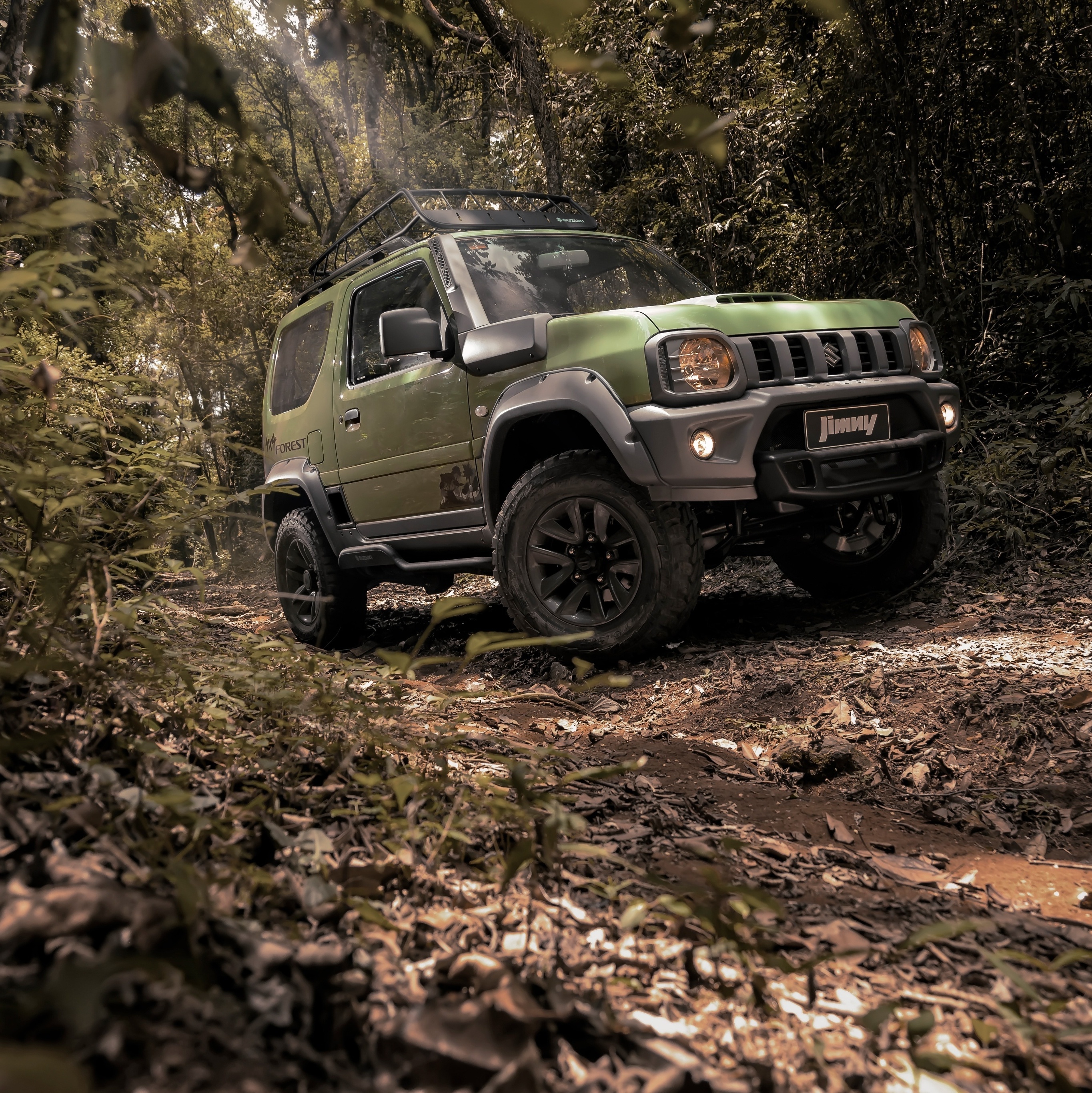 suzuki-jimny-forest-