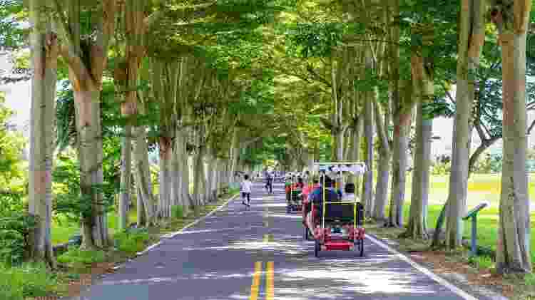 Turistas em triciclos elétricos em Luye Longtian, Taitung - Getty Images - Getty Images