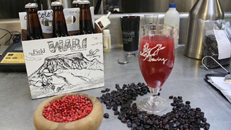 Wari, cerveja feita pelo Museu Field de História Natural com a Off Colour, de Chicago - Divulgação - Divulgação