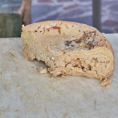 Queijo mais perigoso do mundo se chama casu marzu e é feito com larvas